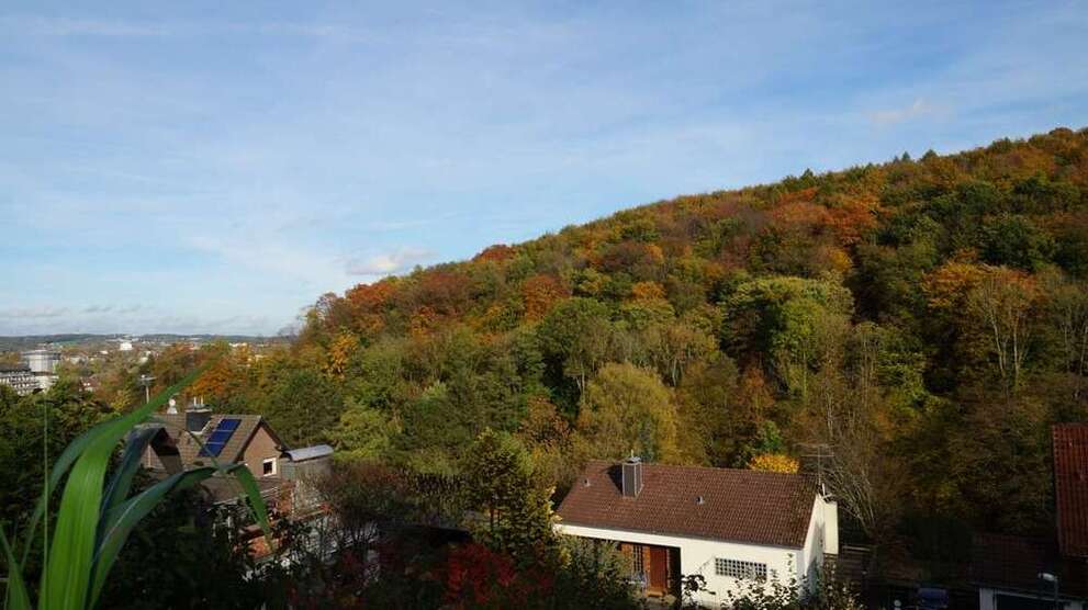 Grundstück zu verkaufen in Wuppertal 180.000 € 438 m²