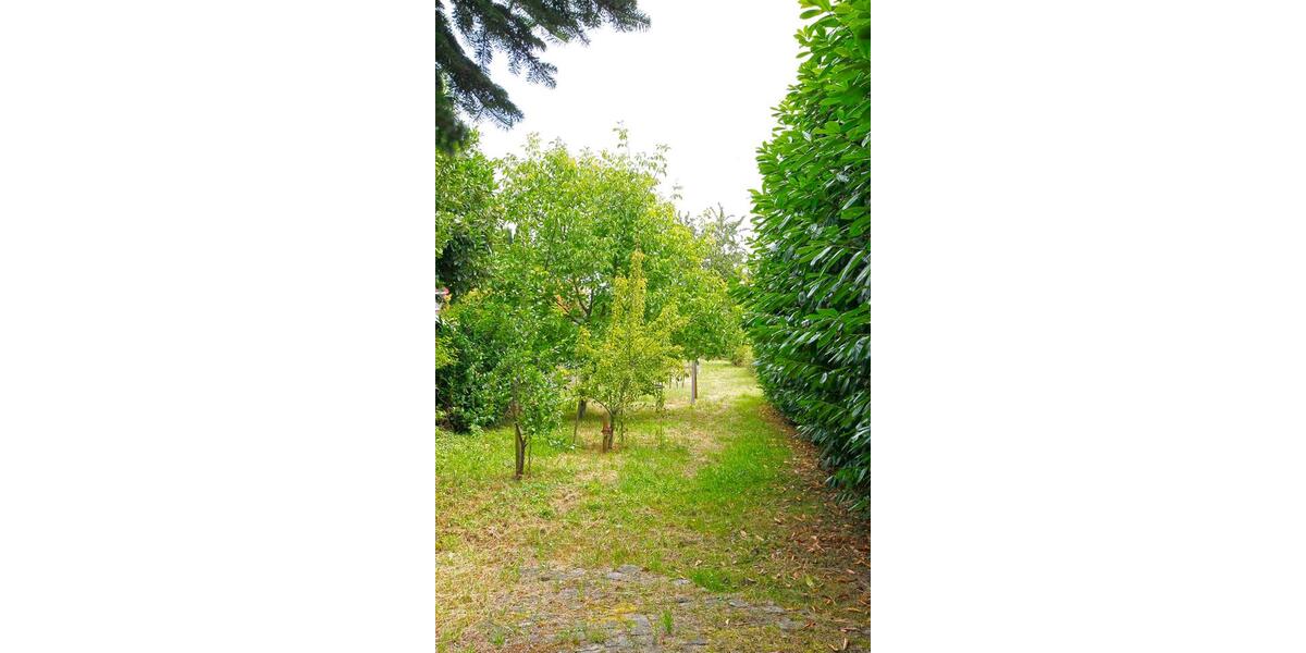 Reihenhaus Neuss Holzheim - 6 Zimmer, 162 m&sup2;, 575.000&euro; | Angebot:24372290