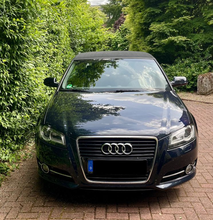 A3
