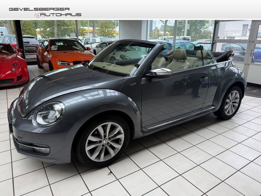 Beetle