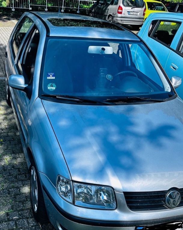 Polo