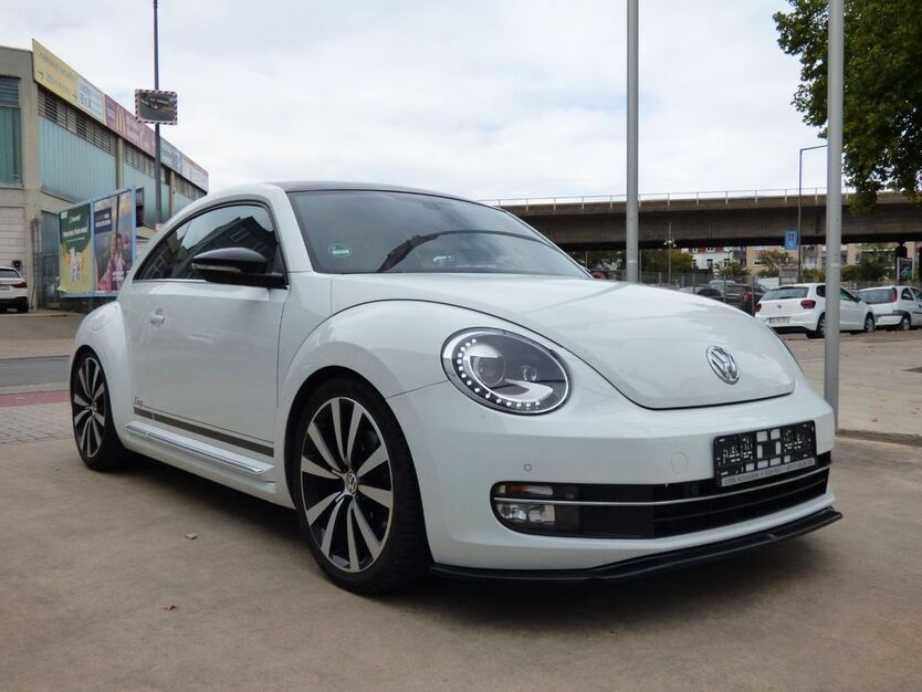 Beetle