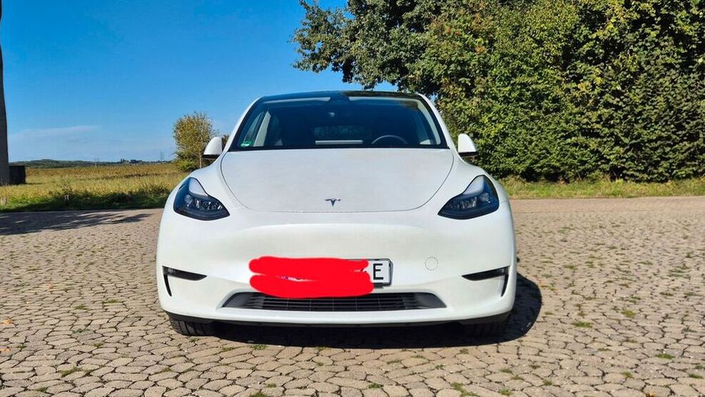 Model Y