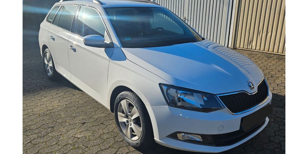 Skoda Fabia 230.000 km 4.500 &euro; Remscheid 42859