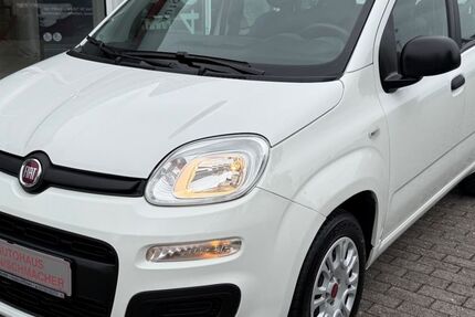 Fiat Panda 76.399 km 9.290 € Radevormwald 42477