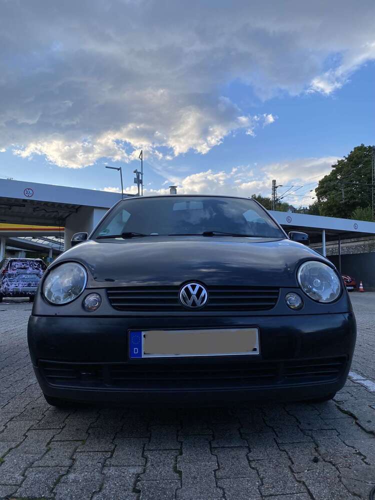 Lupo