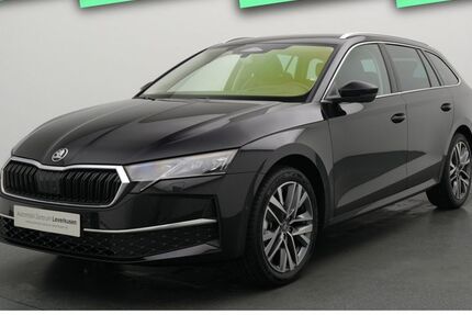 Skoda Octavia 1.009 km 36.480 &euro; Leverkusen 51379