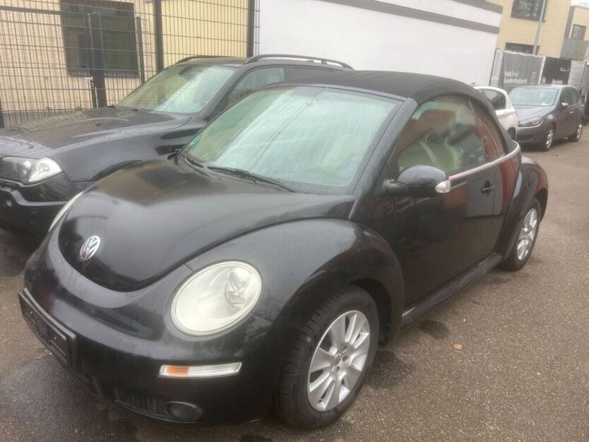 Beetle