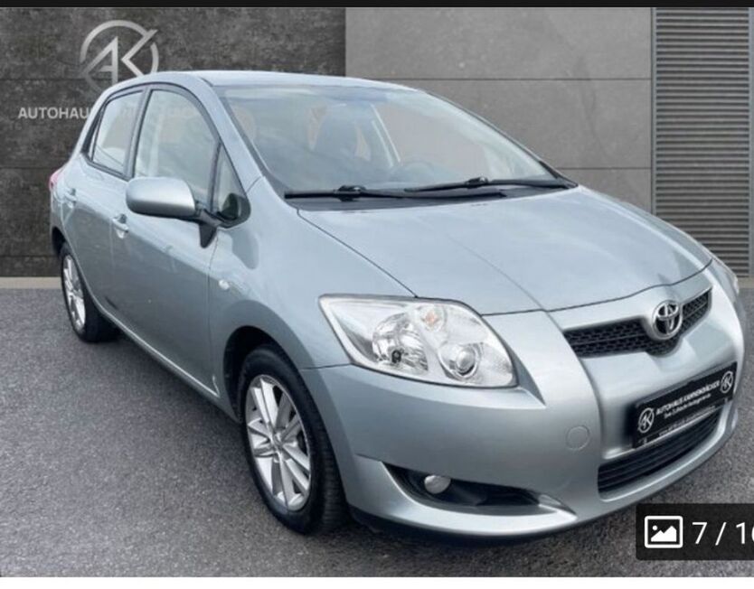 Auris