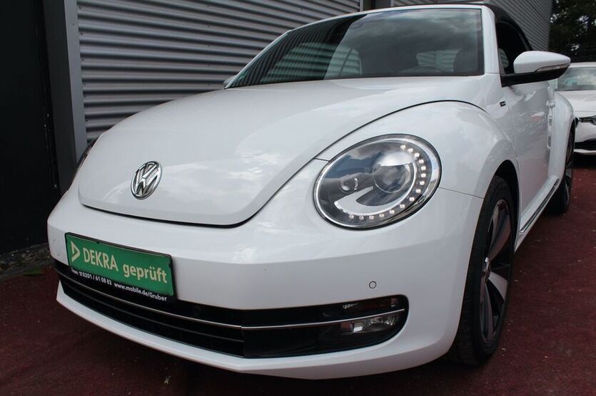 Beetle