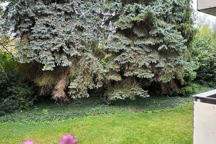 Wohnung Ratingen Zentrum - 3 Zimmer, 64 m&sup2;, 188.000&euro; | Angebot:23129886