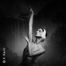 Grand Classic Ballet - Schwanensee - Jenseits der Bühne mit live Streichquartett 05.04.2026 Volksbühne am Rudolfplatz