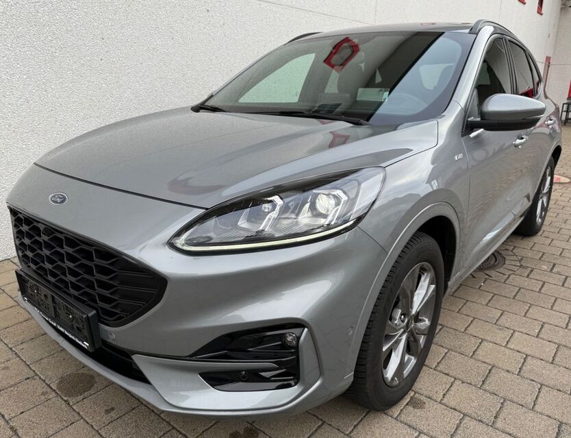 Kuga
