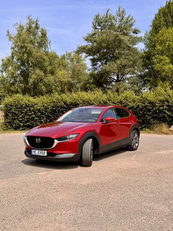 CX-30