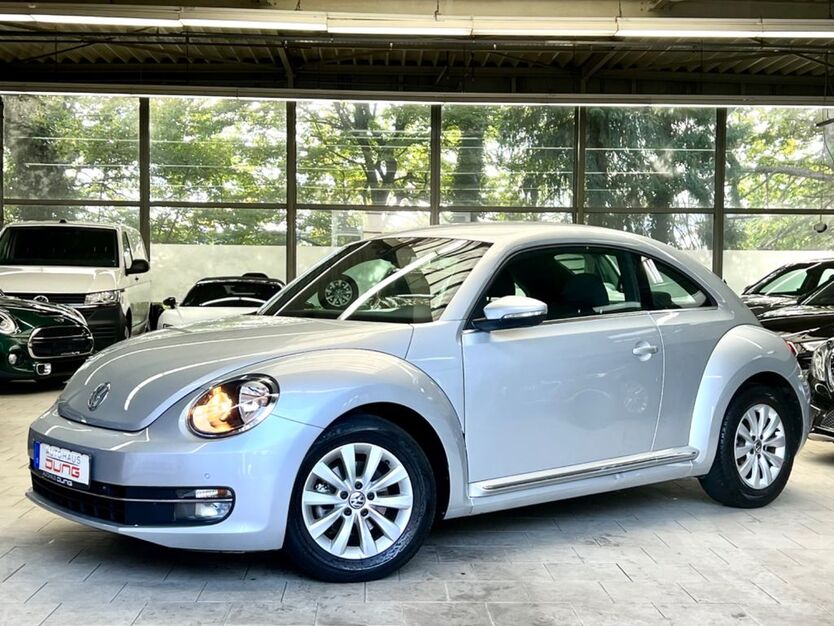 Beetle