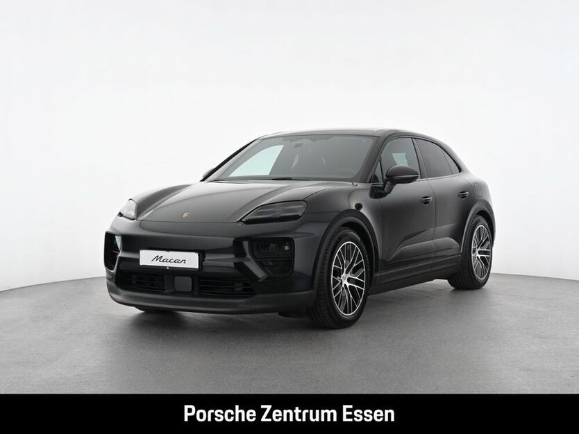 Macan