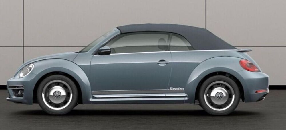 Beetle