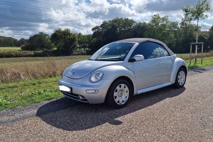 VW Beetle