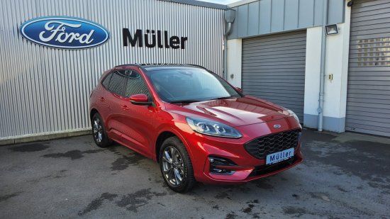 Kuga
