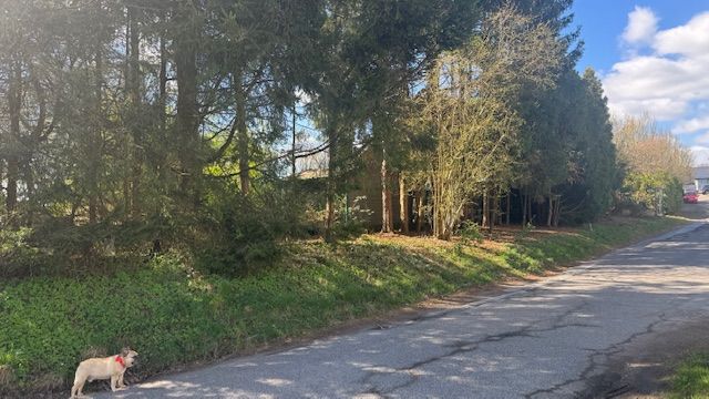 Provisionsfrei* Privatverkauf: Exklusives Luxus-Villen-Grundstück mit traumhaften Fernblick