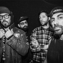 Turbo Acs 14.11.2025 Lila Eule