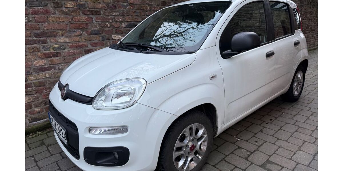 Fiat Panda 54.500 km 5.999 &euro; Pulheim 50259