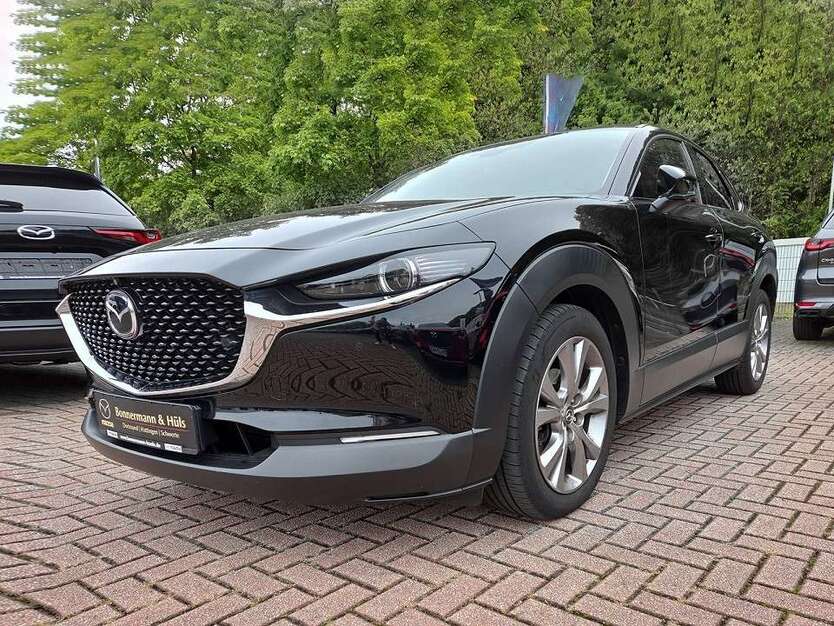 CX-30