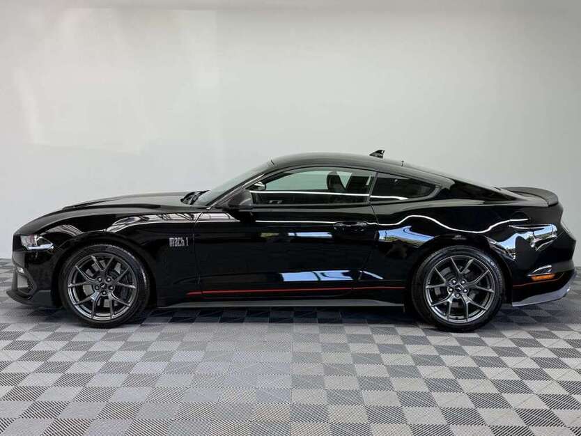 Mustang