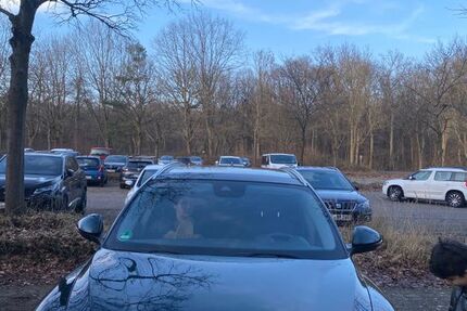 Alfa Romeo Stelvio 47.000 km 33.999 &euro; Köln 51067