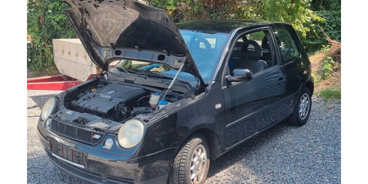 VW Lupo 135.500 km 2.499 &euro; Solingen 42699