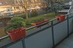 Etagenwohnung Neuss Erfttal - 3 Zimmer, 65 m&sup2;, 1.000&euro; | Angebot:27594080