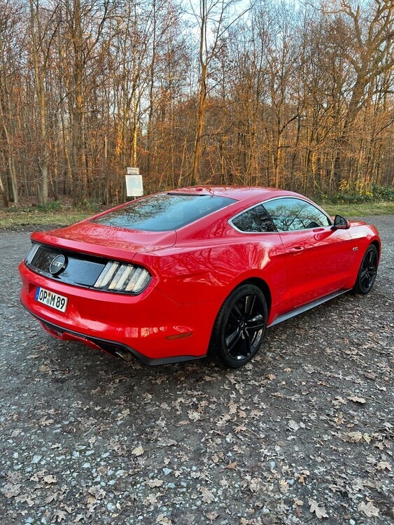 Mustang