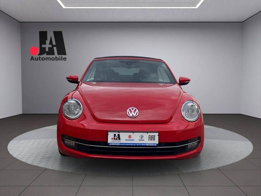 Beetle