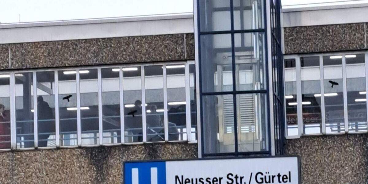 Zimmer Köln Weidenpesch - 1 Zimmer, 22 m&sup2;, 580&euro; | Angebot:26627285