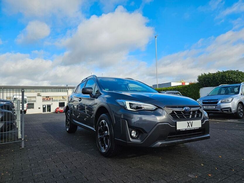 XV