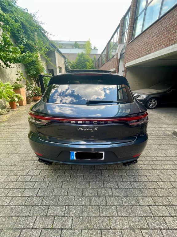 Macan