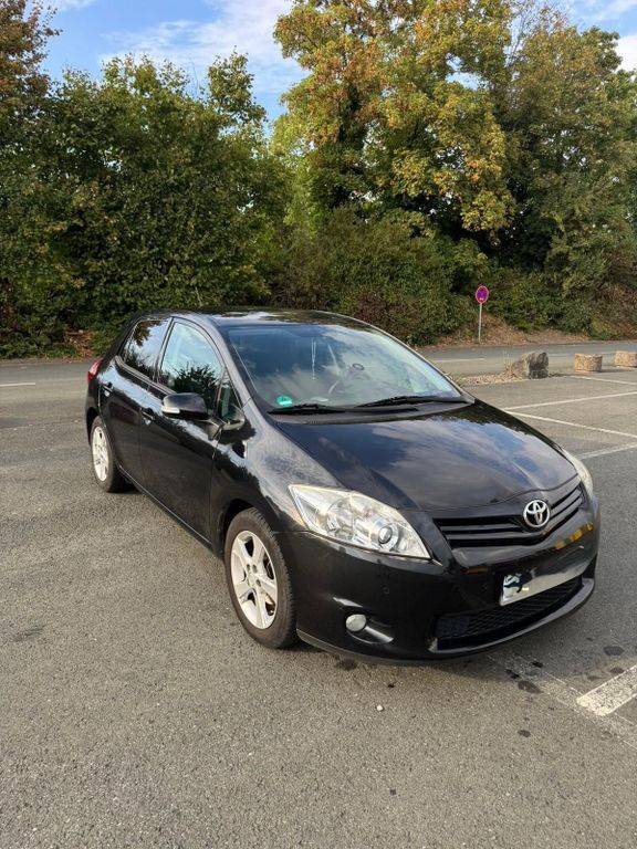 Auris