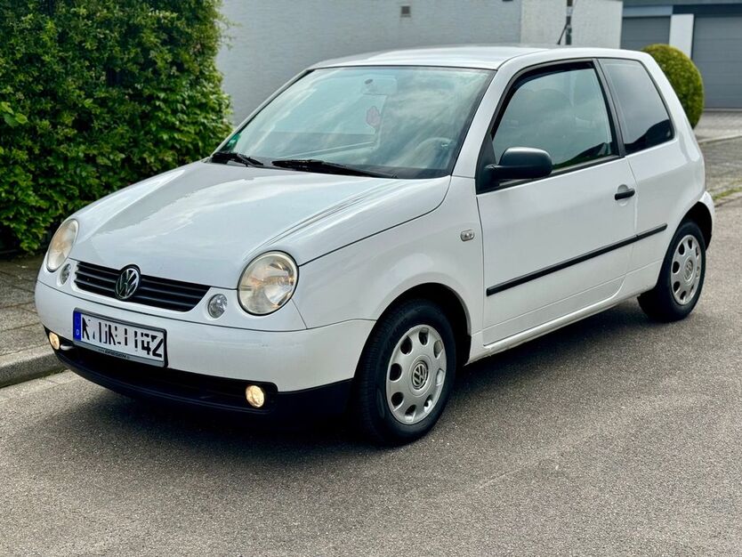Lupo