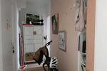Erdgeschoßwohnung Solingen Ohligs - 1 Zimmer, 25 m&sup2;, 370&euro; | Angebot:26681762