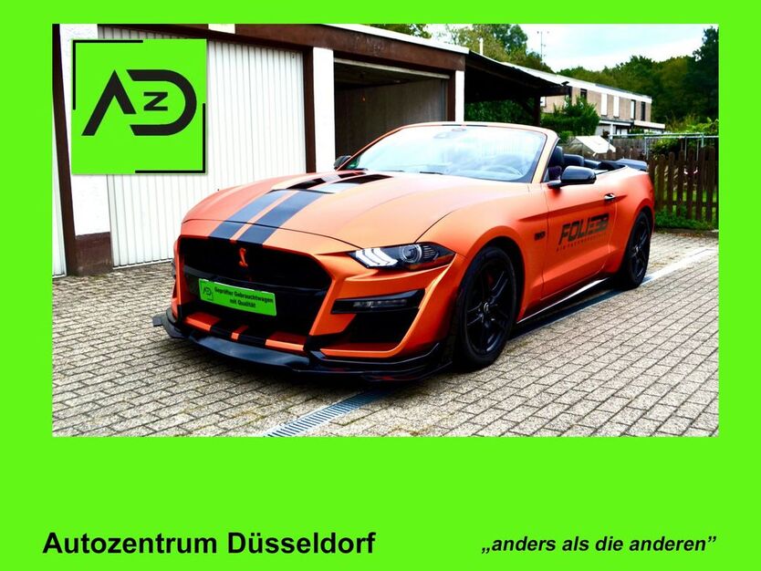 Mustang