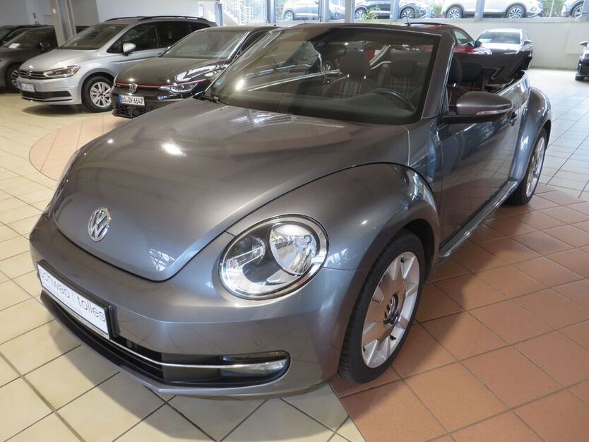 Beetle