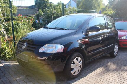 VW Fox