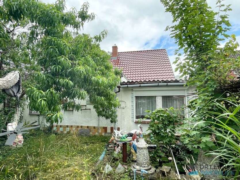 Haus zum Kaufen in Breese 62.500 € 80 m²