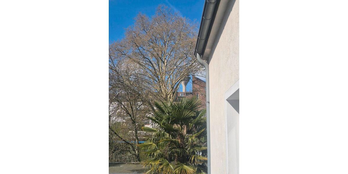 Reihenhaus Düsseldorf Stadtbezirk 3 - 3 Zimmer, 78 m&sup2;, 445.000&euro; | Angebot:26708481