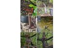 Charmante Eigentumswohnung mit wildromantischem Garten