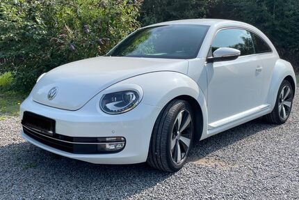 VW Beetle