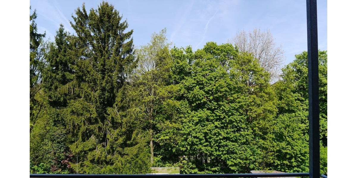 SG, komfortable 85m² 2 Zi. Loftwohnung mit Unikat-Charakter, Balkon, Stellplatz, EBK - Loft - Studio - Atelier Solingen Mitte | Angebot:26855412