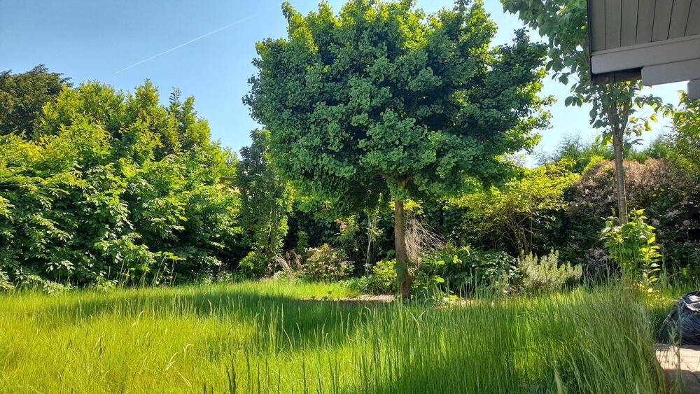 * Mach was Neues draus * Doppelhaus mit großem Grundstück 5 zimmer