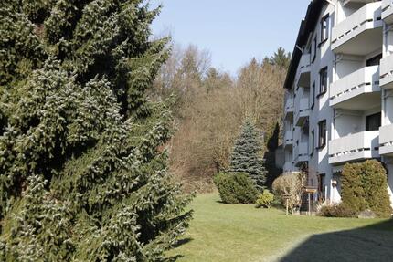 Wohnung 1,5 Zimmer zimmer