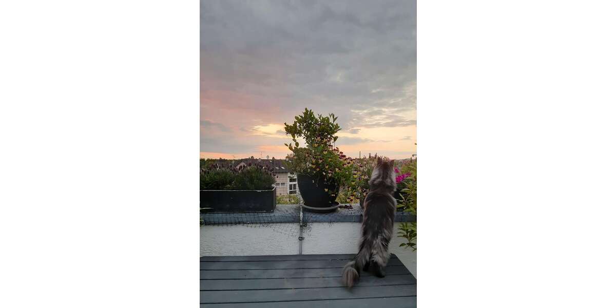 Etagenwohnung Bergisch Gladbach Gronau - 7 Zimmer, 192 m&sup2;, 710.000&euro; | Angebot:24317186